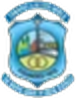 Partner institution