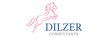 Dilzer Consultants